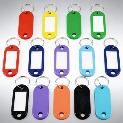 200 LLAVEROS PLASTICOS FLEXIBLES IDENTIFICADORES DE LLAVES CON ETIQUETA (COLORES SURTIDOS)